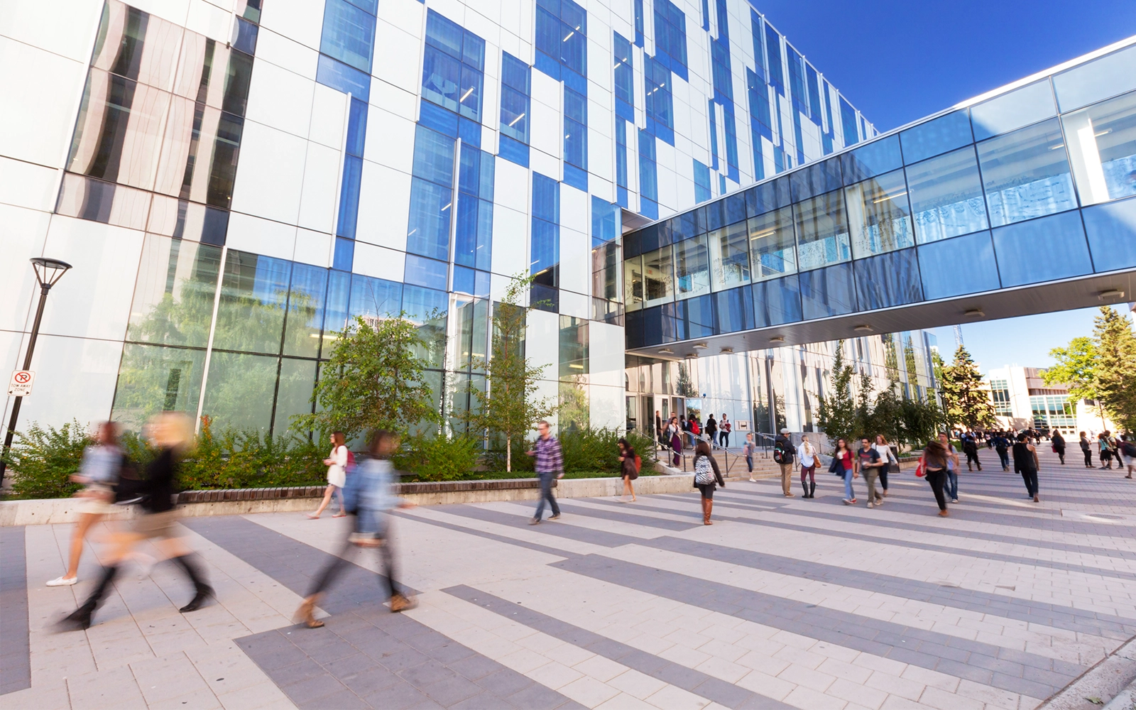 Graphic that represents University of Calgary Library & Cultural Resources: Students return for fall semester